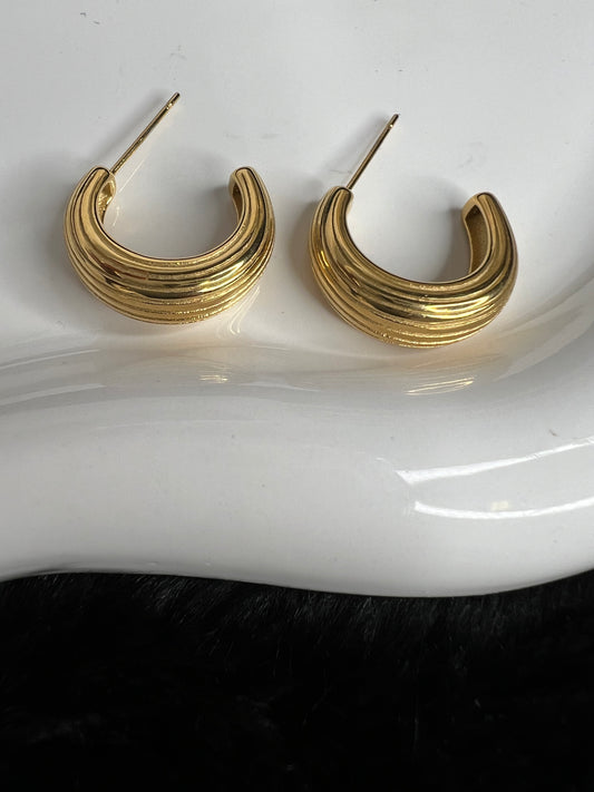 Pendientes Holi
